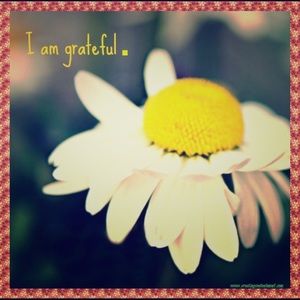 🌺Thank you for shopping 🛍 my closet 🌺